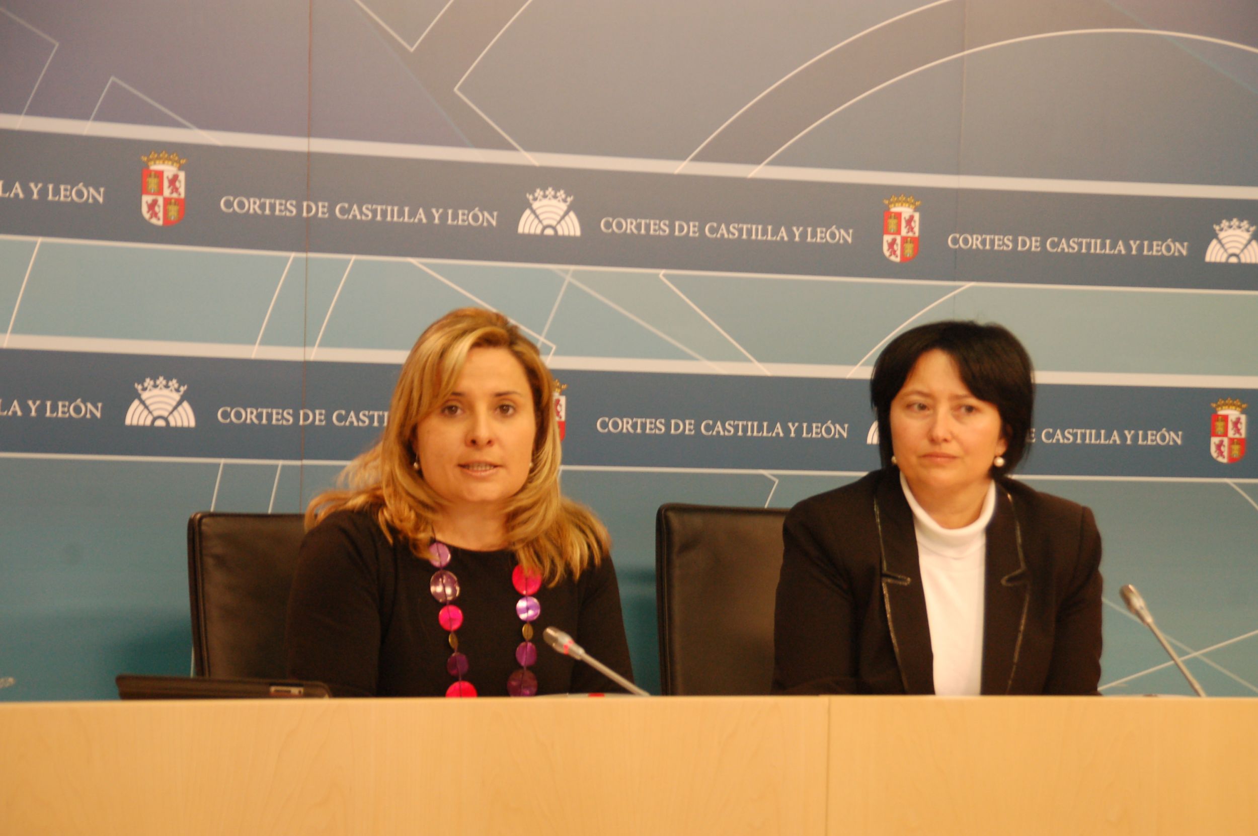 Esther Pérez defenderá en el próximo Pleno una moción con 14 medidas complementarias para avanzar en igualdad. (PSOE Soria)